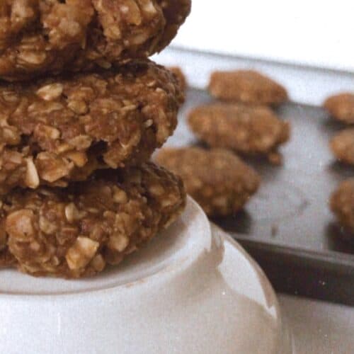 Healthy No-Bake Vegan Chocolate Peanut Butter Cookies