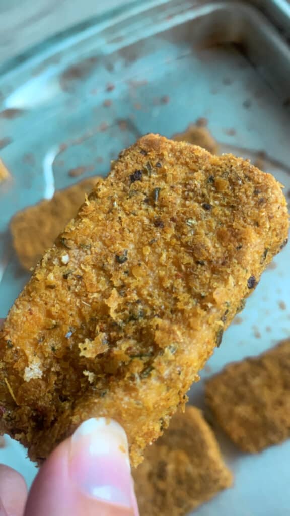 Holding-Vegan-Tofu-Steak