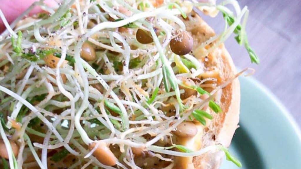 sprouts-on-a-bagel-at-home