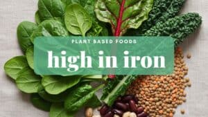 plant based foods high in iron