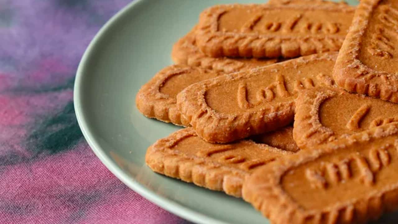 Are Biscoff Cookies Vegan? Essy Cooks