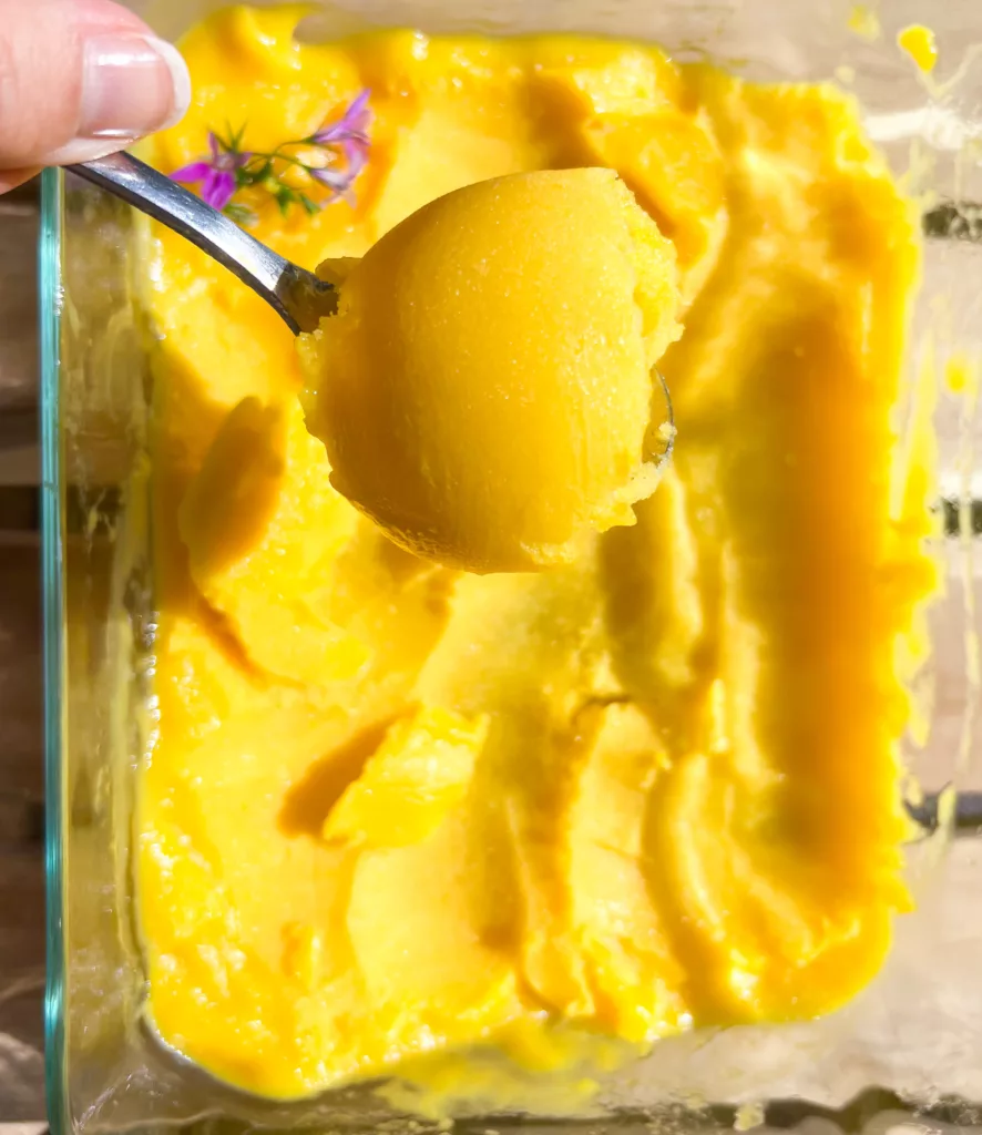 Mango-sorbet-on-spoon