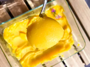 mango-sorbet-cover