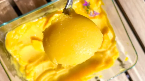 mango-sorbet-cover