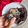 frozen blueberry chocolate bites tiktok