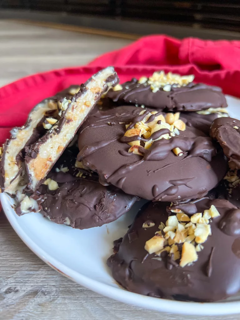 Chocolate covered peanut butter yogurt bites