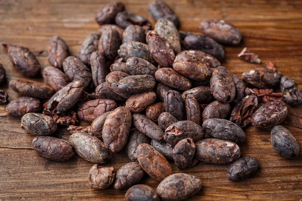 cacao-bean
