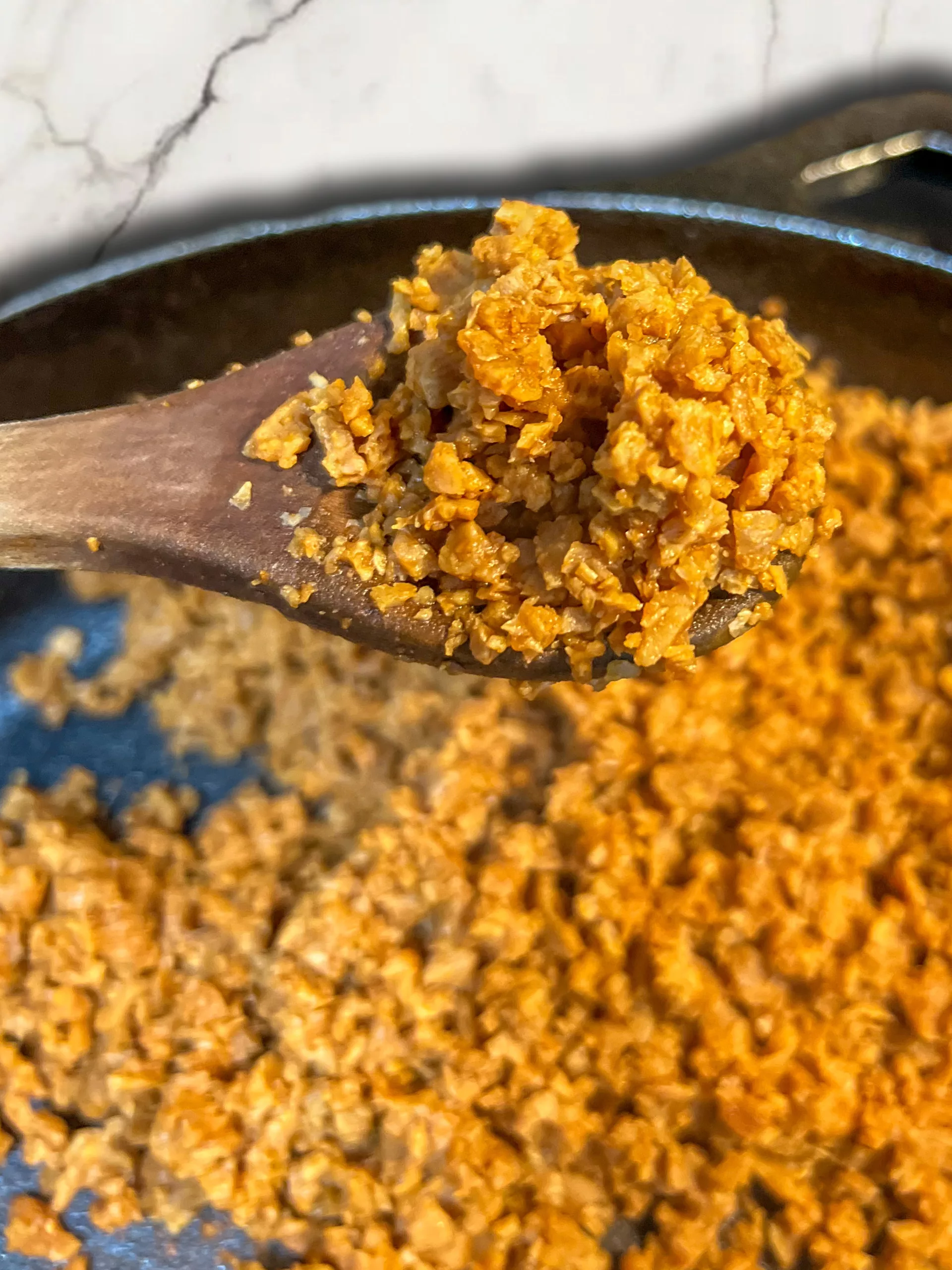 Vegan Ground Beef Substitute Recipe With TVP