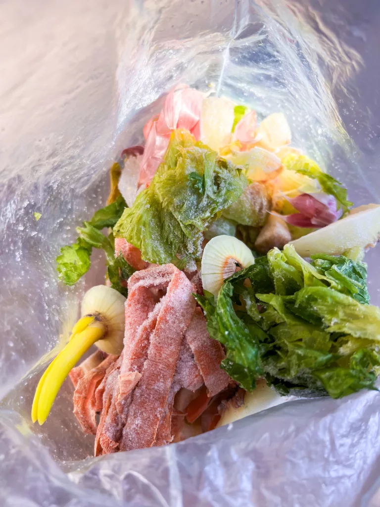 frozen food scraps in a bag for homemade vegetable broth