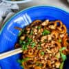 plant based Garlic Chili Noodles With Crispy Tofu