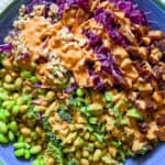broccoli slaw recipe asian