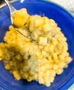 pasta e ceci