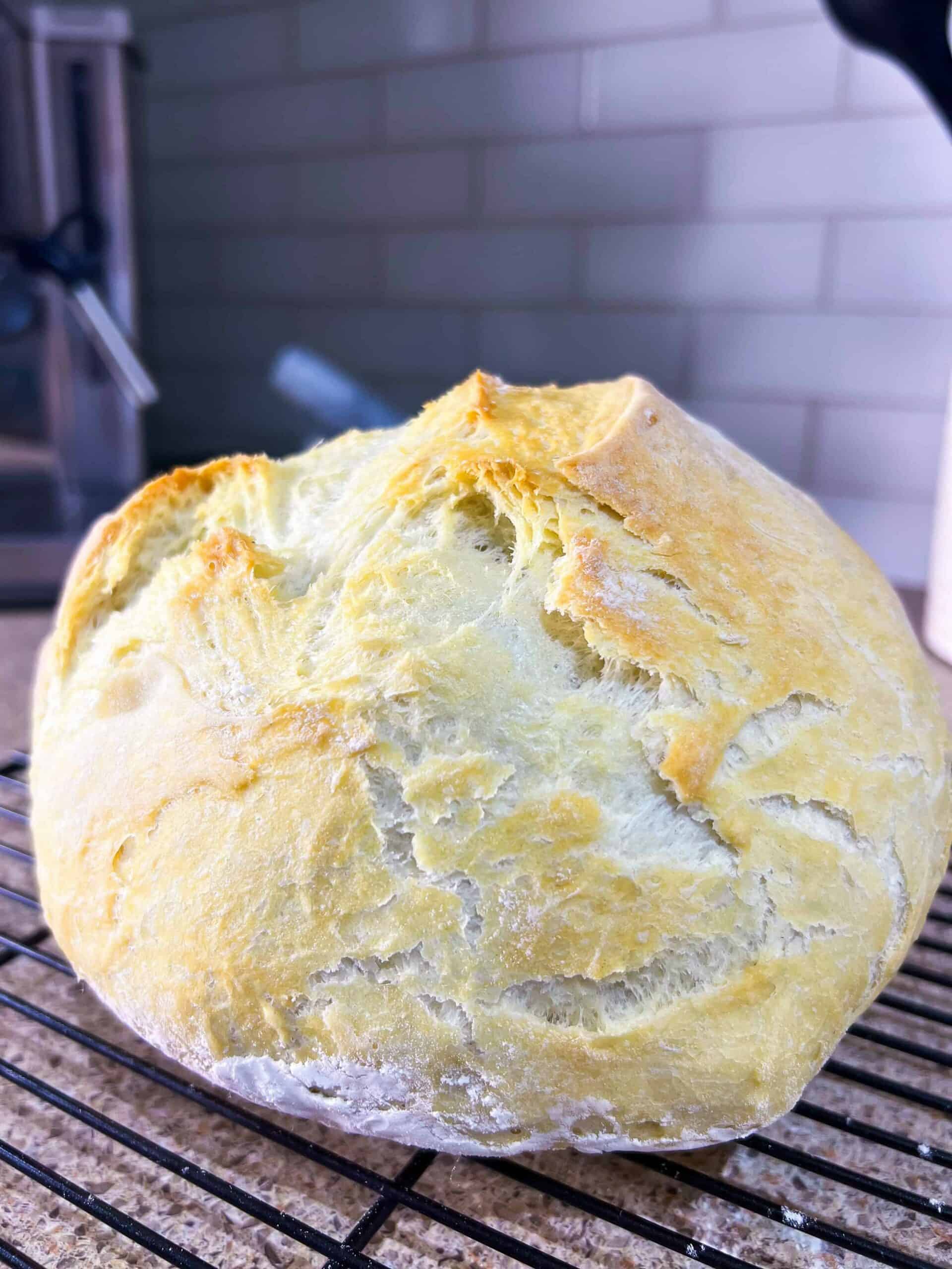 bread recipes for a dutch oven