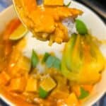 thai red curry vegan on spoon