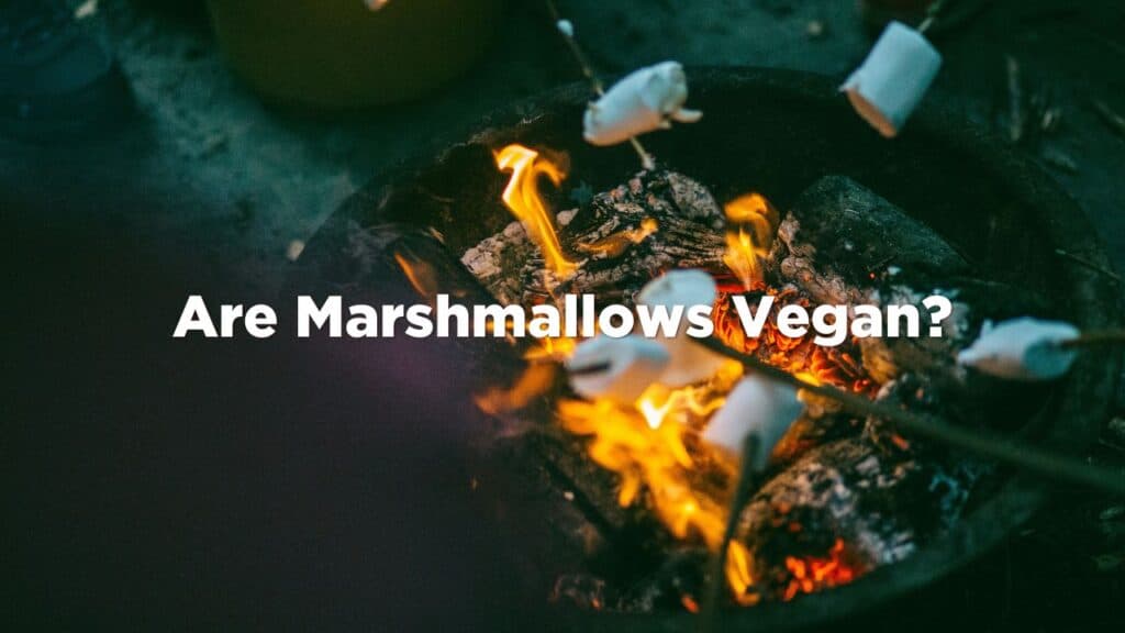 are marshmallows vegan