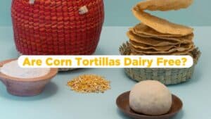 Are Corn Tortillas Dairy Free? Everything You Need to Know