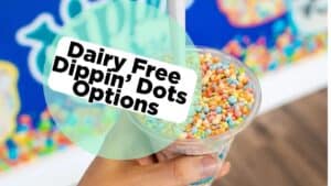Dairy Free Dippin Dots: A Guide to Flavors and Options