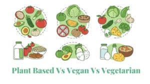 plant based vs vegan vs vegetarian comparison