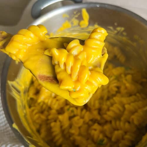 Creamy Lentil Pasta Sauce
