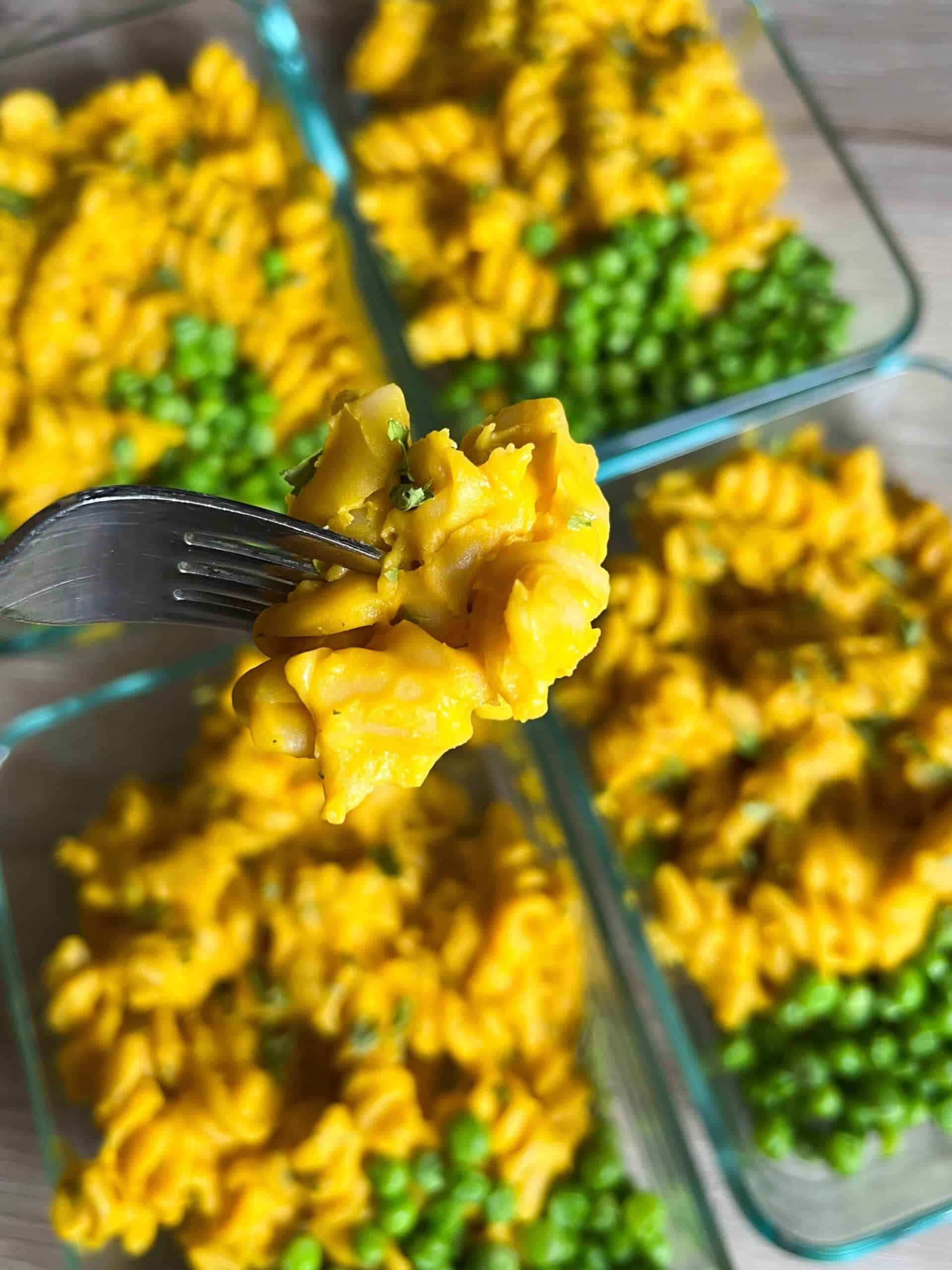 lentil sauce on pasta on fork meal prep