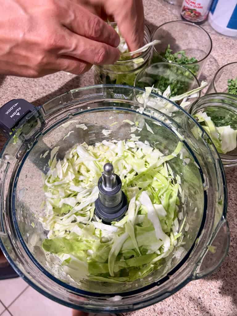 cabbage in food processor