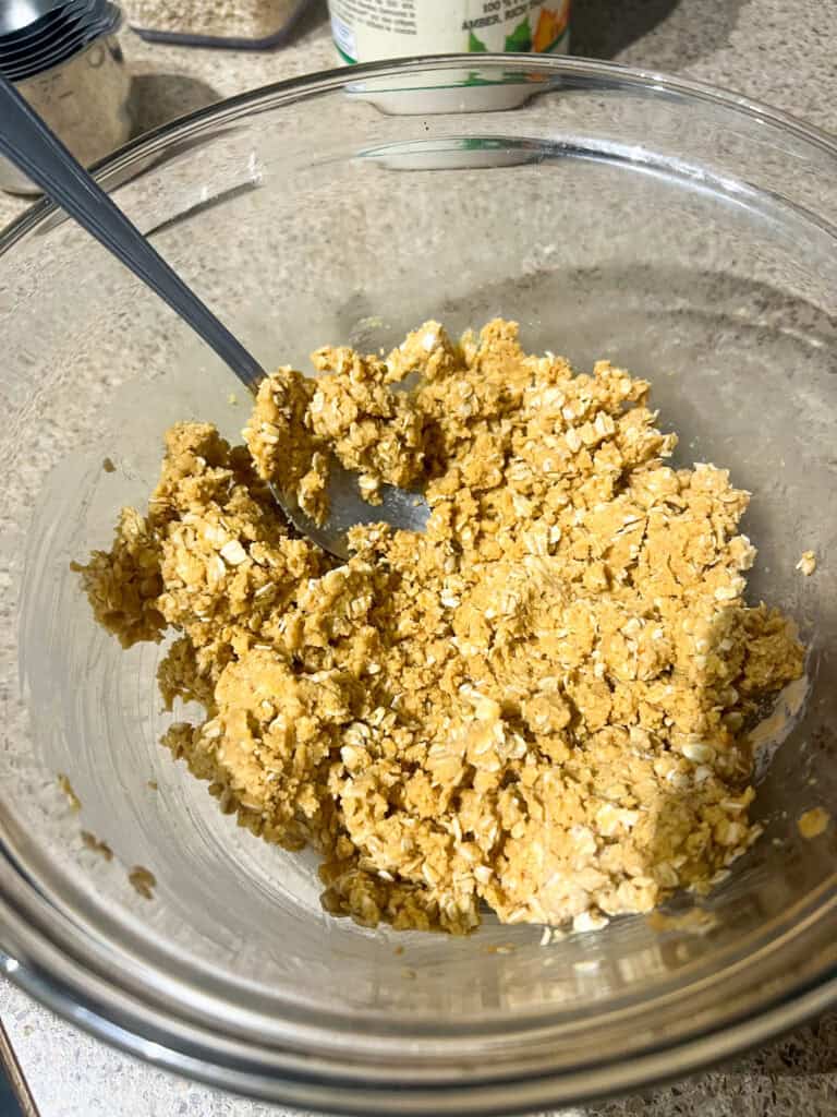Peanut Butter Protein Balls mixture in a clear mixing bowl