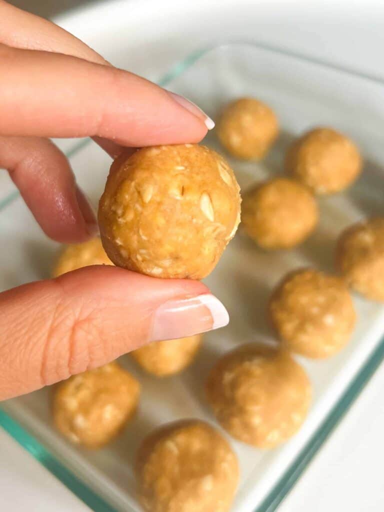 Peanut Butter Protein Balls (with Protein Powder)