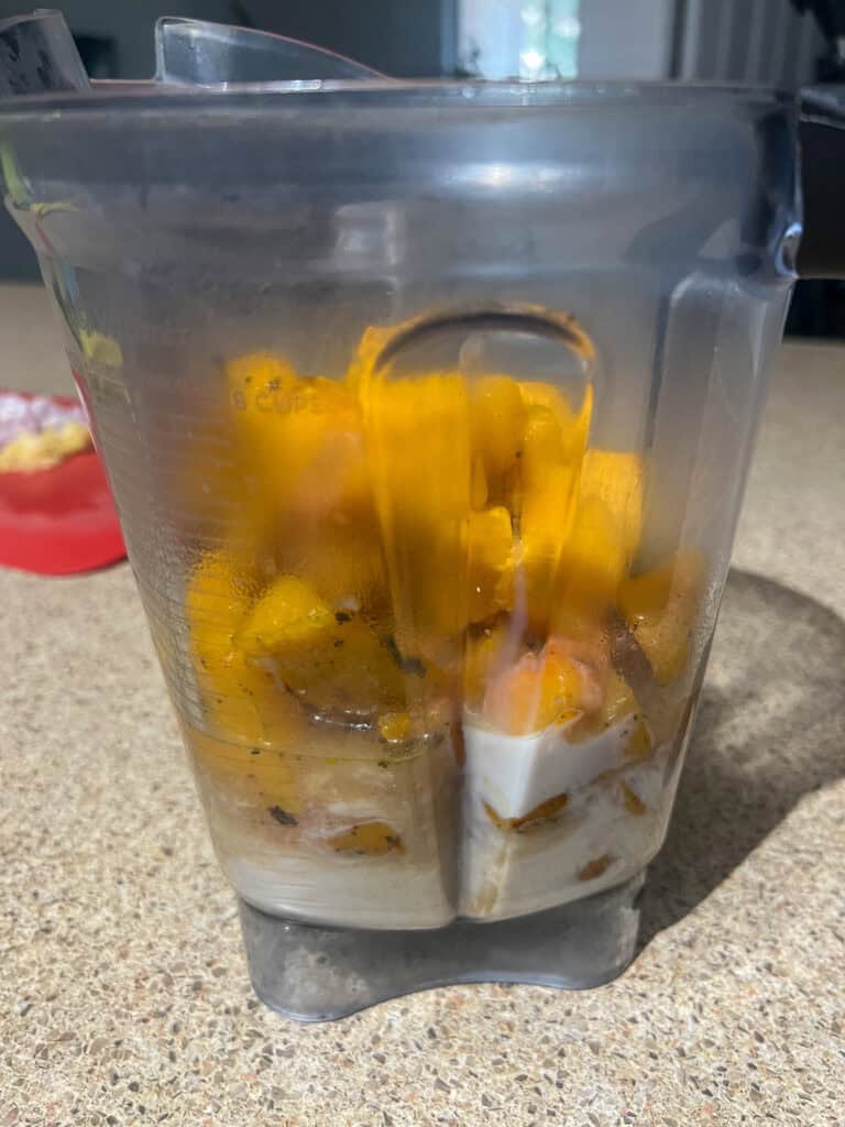 butternut squash in blender
