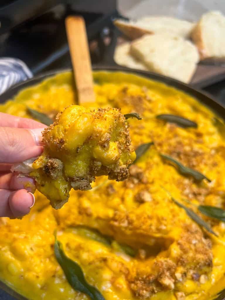 creamy butternut squash dish on bread