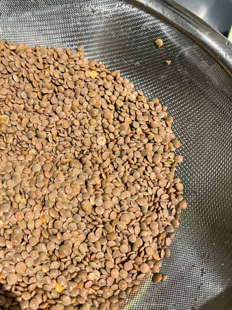 brown lentils in a strainer