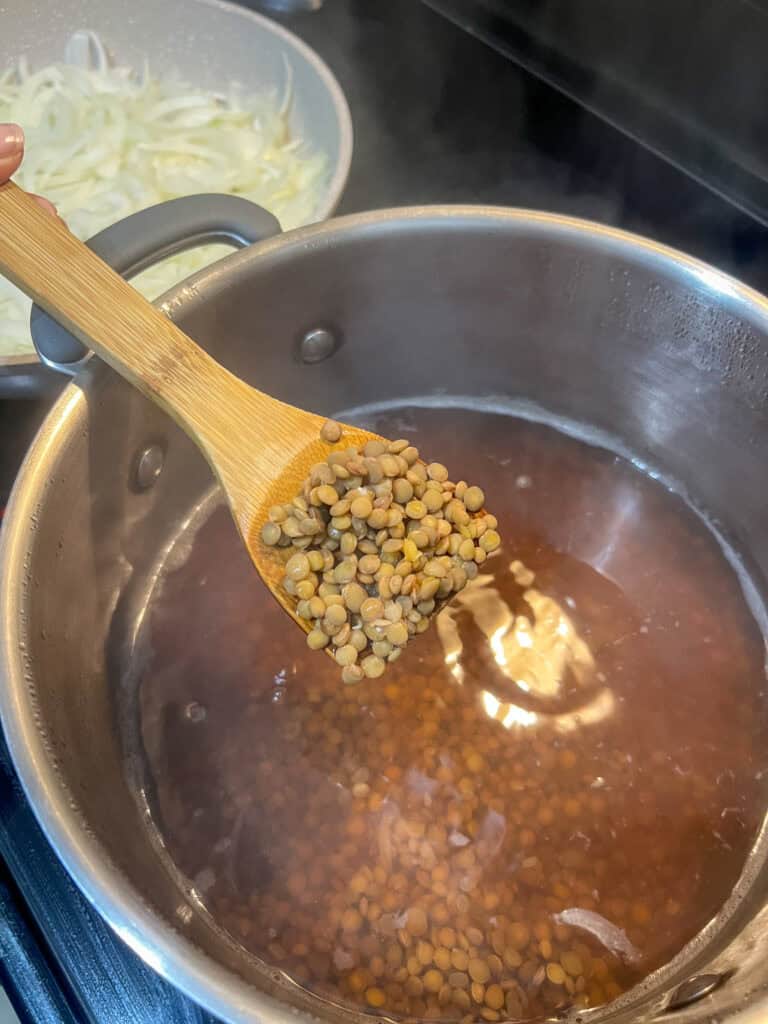 brown lentils on a wooden spoon