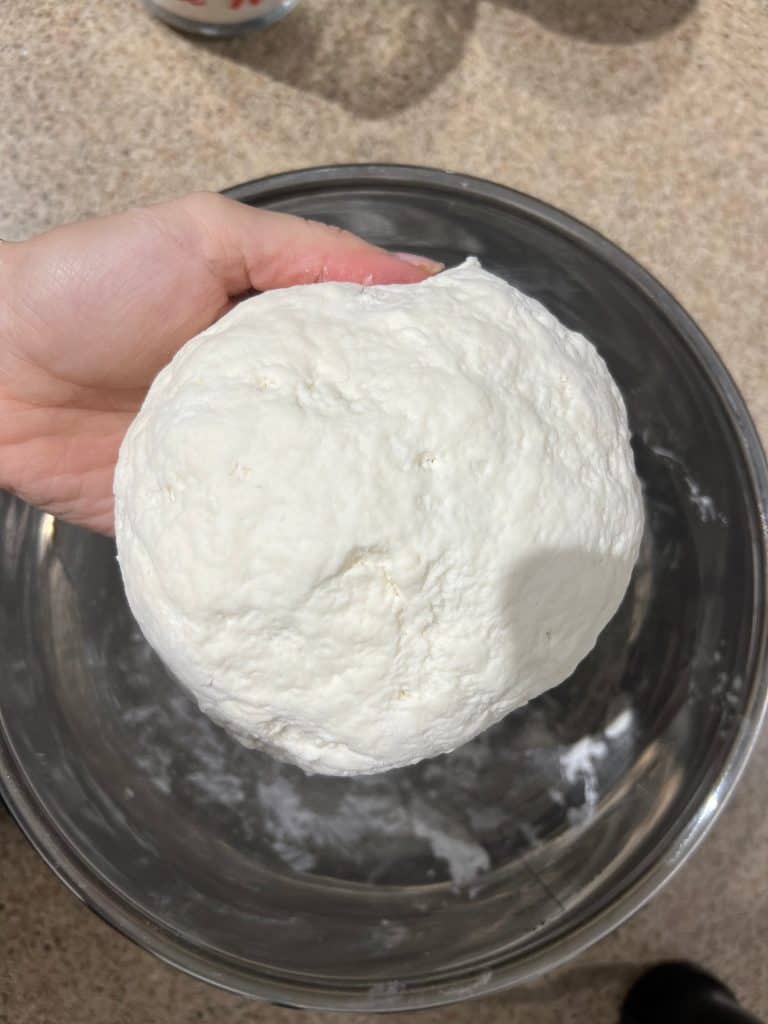 protein naan dough ball